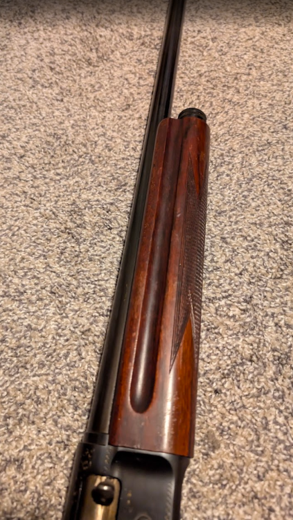 Screenshot 2026-02-17 094921.png