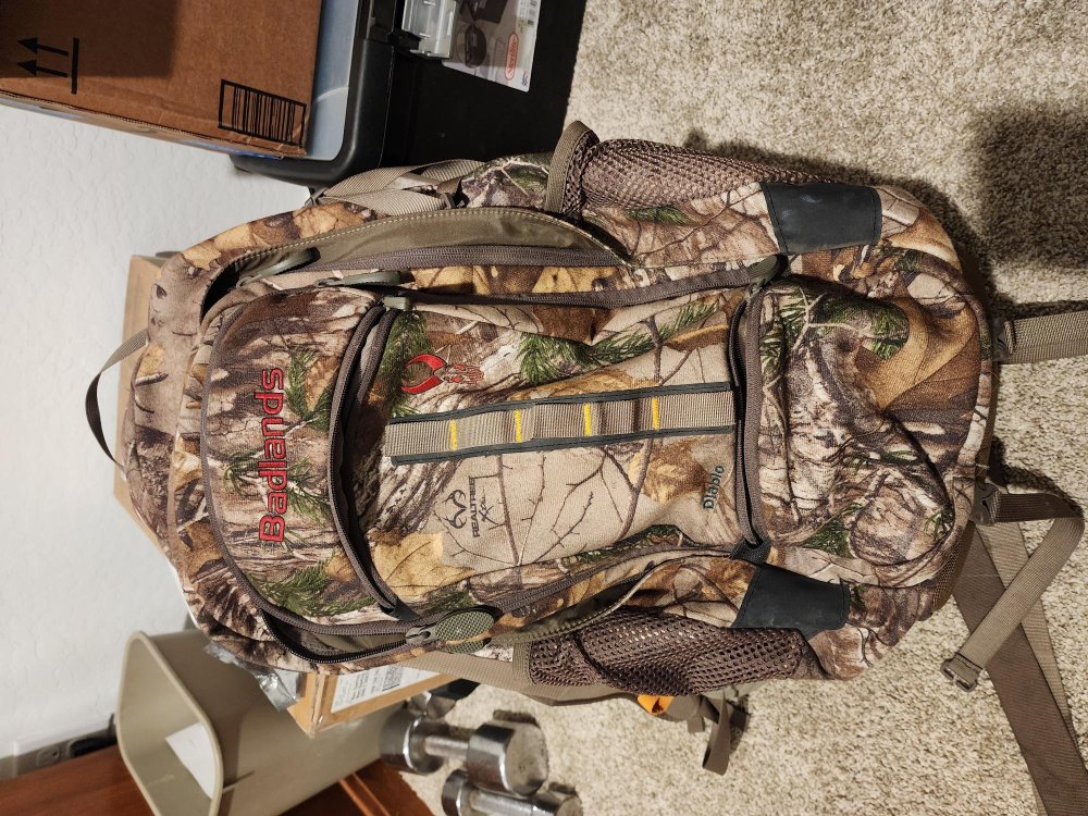 20260203_054734 (1).jpg