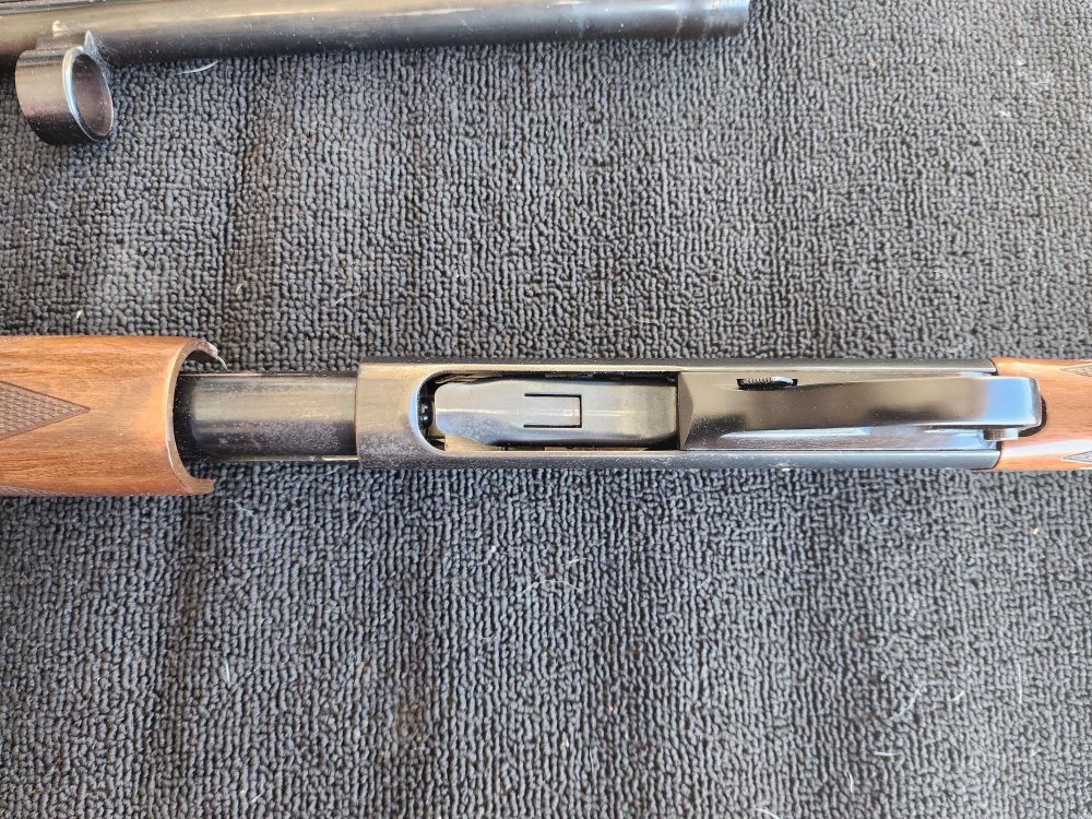 20260306_151804 (1).jpg