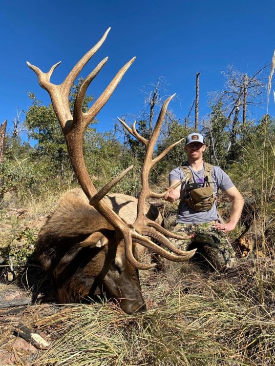 shared image (31).jpg