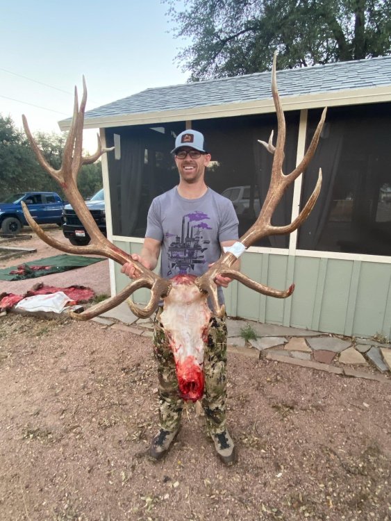 shared image (30).jpg