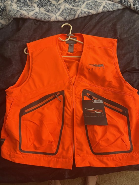 vest.jpg