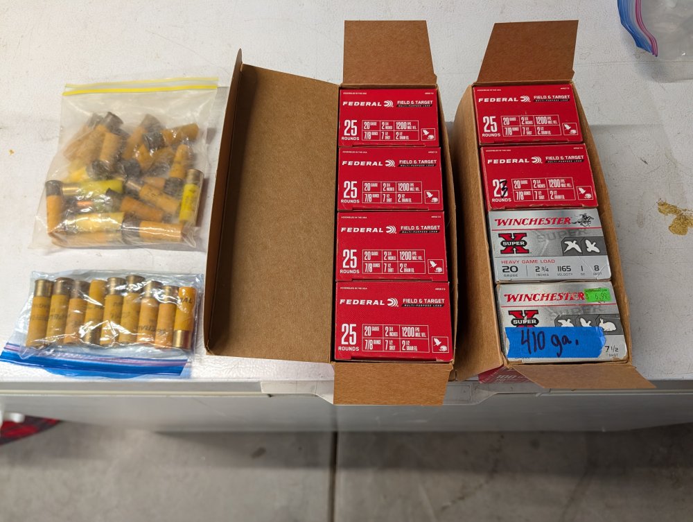 20ga_Ammo-1.jpg