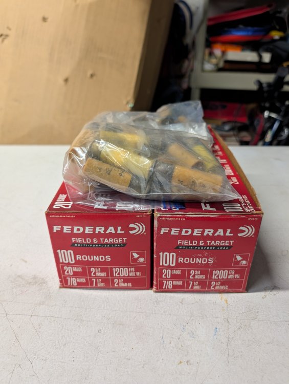 20ga_Ammo-2.jpg