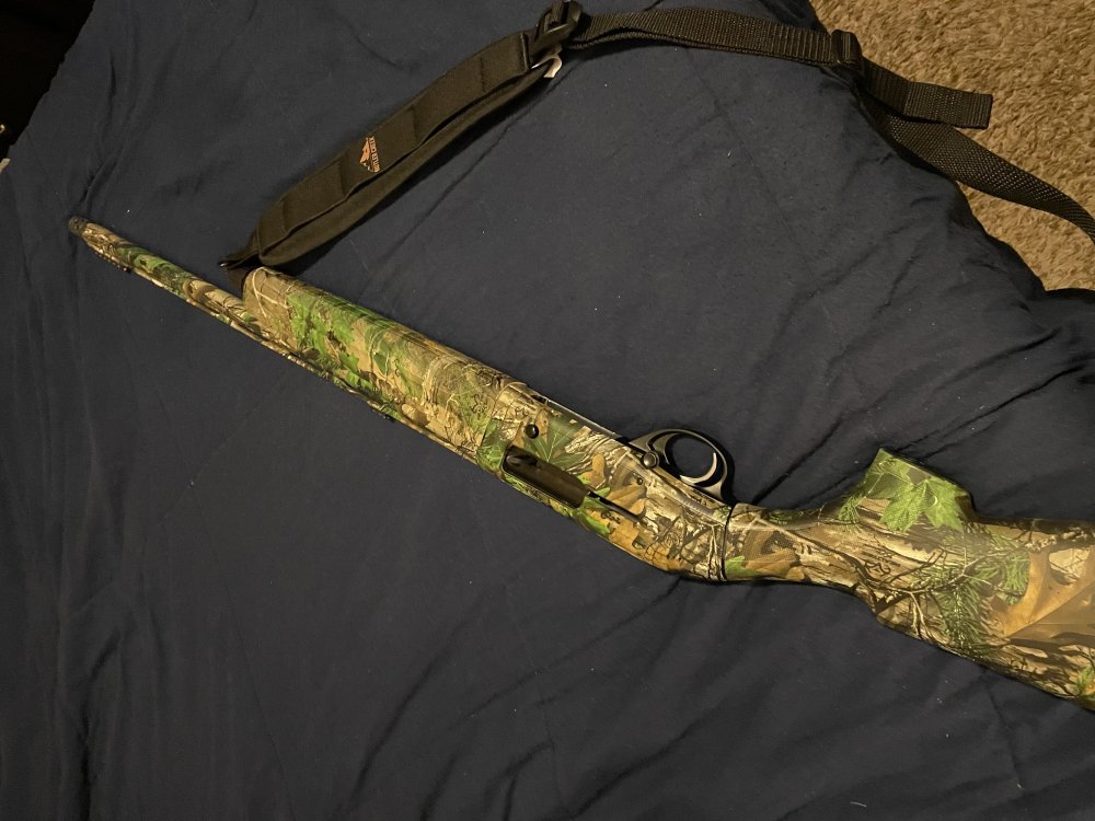 IMG_2219.thumb.jpeg.1fb82d929fe2f8d131f3a428f9b07e40.jpeg