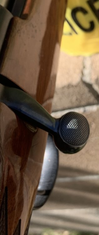 IMG_4056.jpeg