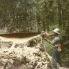 Longbow