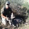 Azwhitetail64