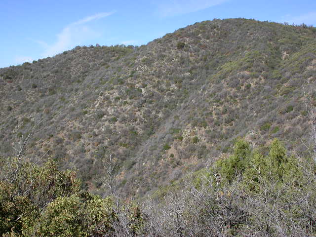 coues habitat