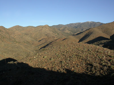 coues habitat