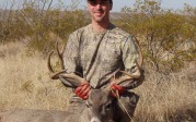 Tails With A Dark Side: The truth about whitetail – mule deer hybrids