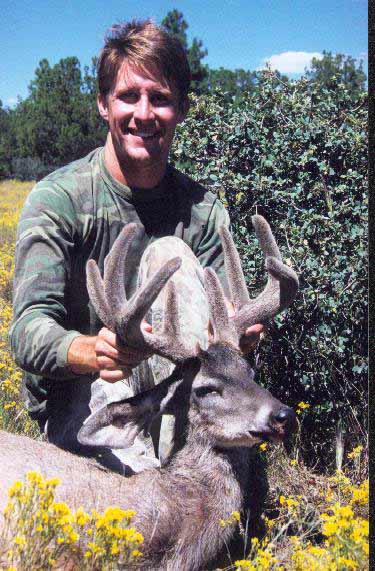 archery coues deer