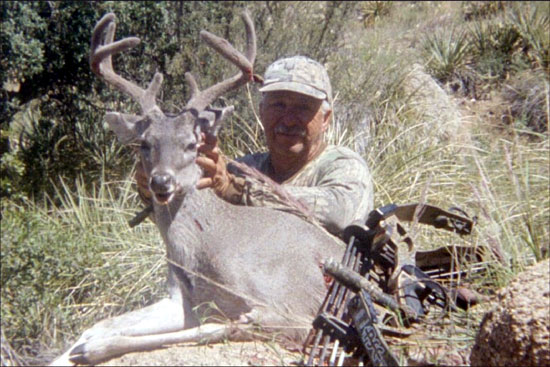 coues deer