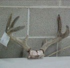 Bill Canizales’ Archery hunt in Aug 2000