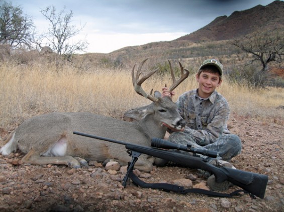 coues deer