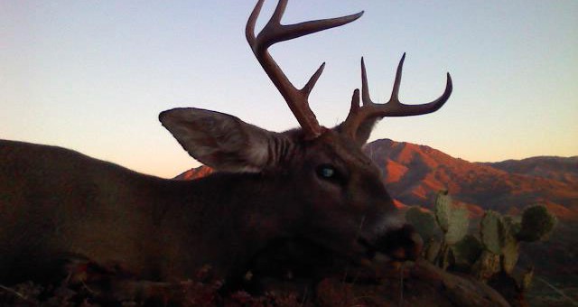 MY BEST DAY OF HUNTING EVER!!!, 12/27/08