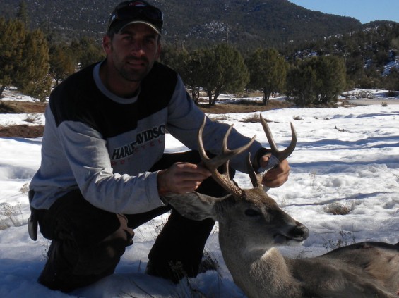 coues deer