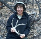 Sally Epperson Coues Shed Antler