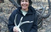 Sally Epperson Coues Shed Antler