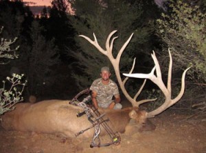 elk