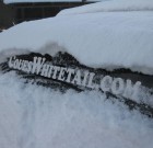 CouesWhitetail sticker in snow