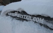 CouesWhitetail sticker in snow