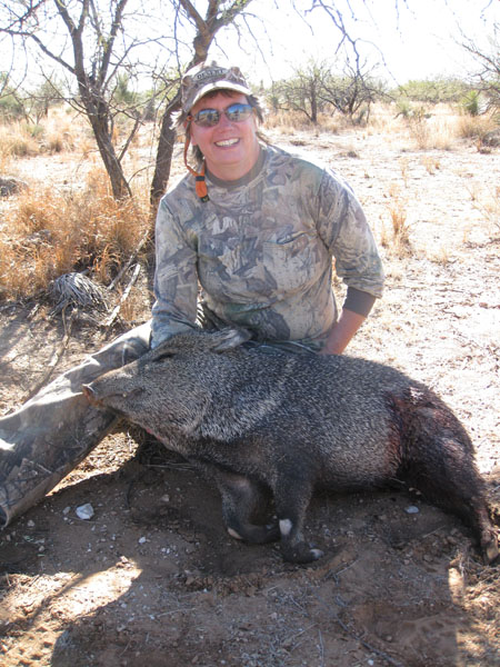 javelina