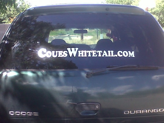 coues sticker