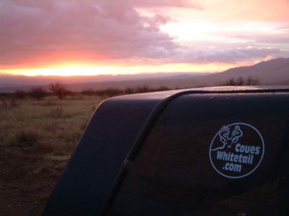 coues sticker