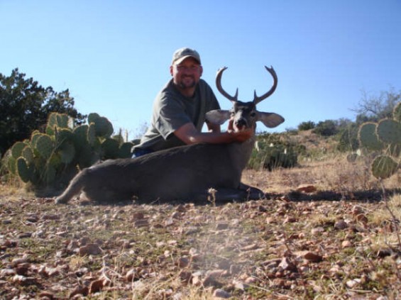 coues