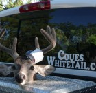 Chris Crosland and archery buck