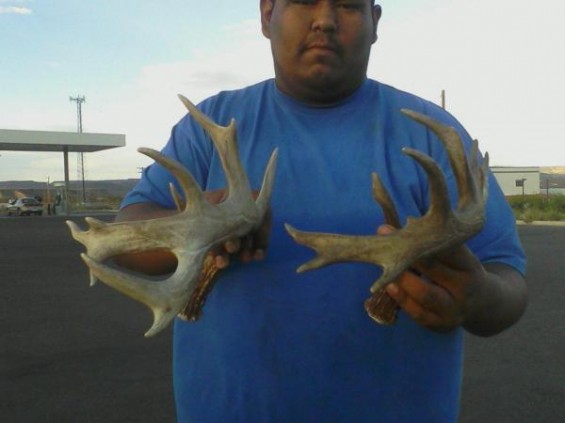 giant coues sheds