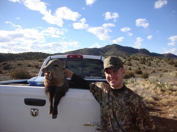 coues whitetail sticker