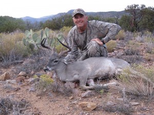 coues deer