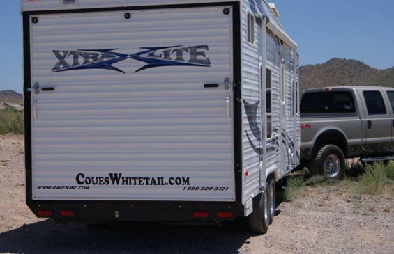 coues whitetail deer sticker