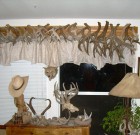 Reynolds Locked Coues Antler Sets