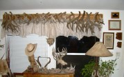 Reynolds Locked Coues Antler Sets