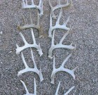 Reynolds Coues Shed Antler Series 2