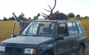 Steven Ward’s Suzuki with elk