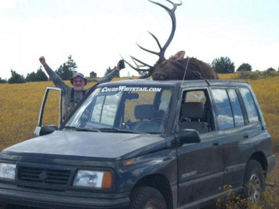 coues deer sticker big elk