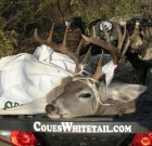 WFGinNM with great buck