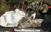 WFGinNM with great buck