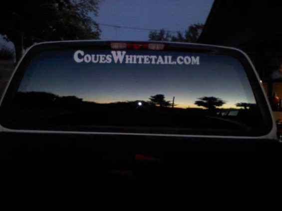 coues whitetail sticker