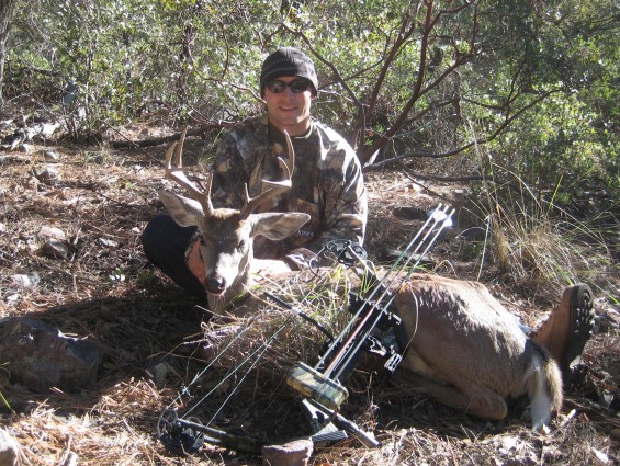 coues deer