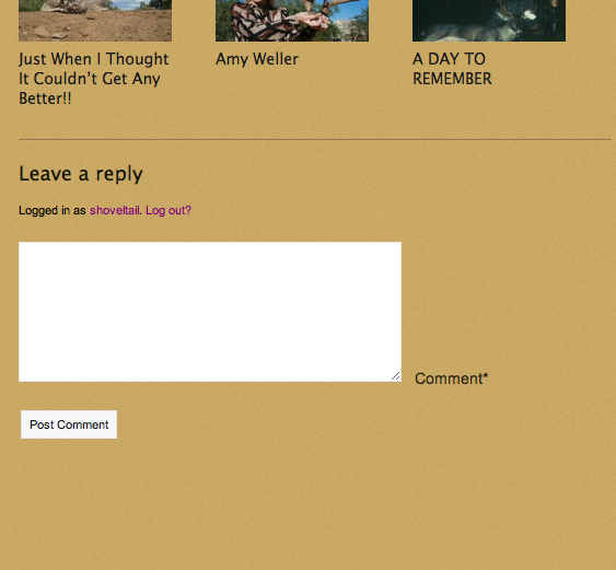 Screen Shot 2012-08-27 at 10.53.01 PM commenting