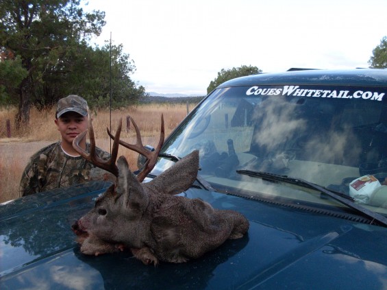 coues buck giant