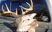 Brian Johnson’s buck