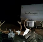 Gino and Jason’s bucks with trailer sticker