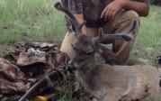 Josh Weeks Archery August 2012