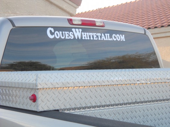 coues deer sticker